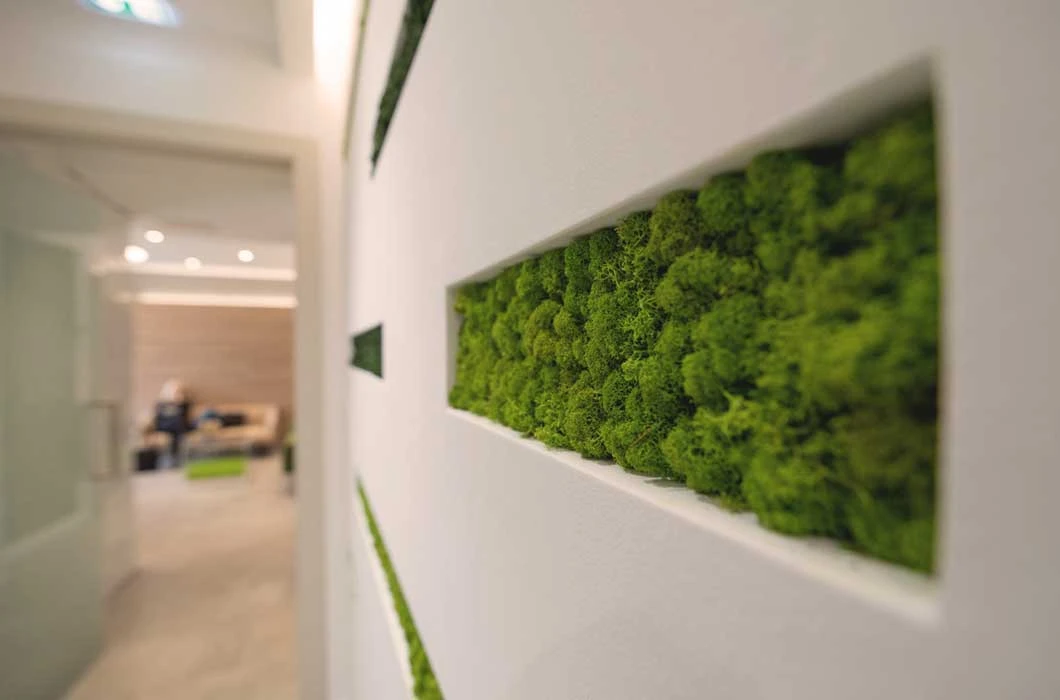 O nama | DentalCore - DentalCore